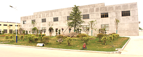 公司全景